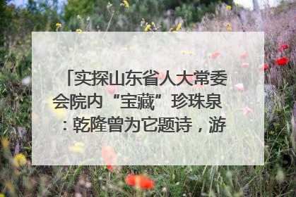 实探山东省人大常委会院内“宝藏”珍珠泉：乾隆曾为它题诗，游客无需预约免费游览