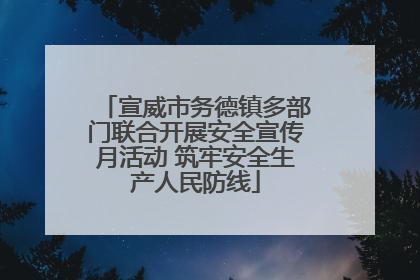 宣威市务德镇多部门联合开展安全宣传月活动 筑牢安全生产人民防线