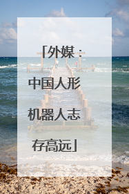 外媒：中国人形机器人志存高远
