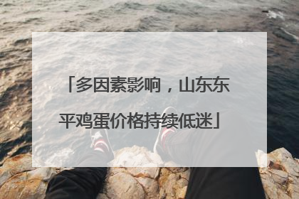 多因素影响，山东东平鸡蛋价格持续低迷