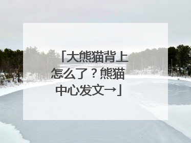 大熊猫背上怎么了？熊猫中心发文→