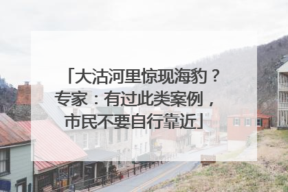 大沽河里惊现海豹？专家：有过此类案例，市民不要自行靠近