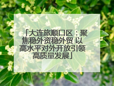 大连旅顺口区：聚焦稳外资稳外贸 以高水平对外开放引领高质量发展
