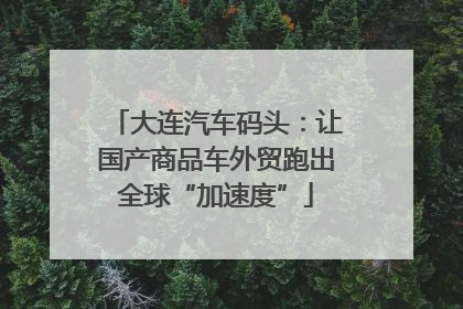 大连汽车码头：让国产商品车外贸跑出全球“加速度”