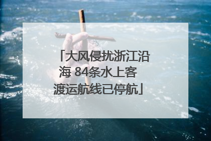 大风侵扰浙江沿海 84条水上客渡运航线已停航