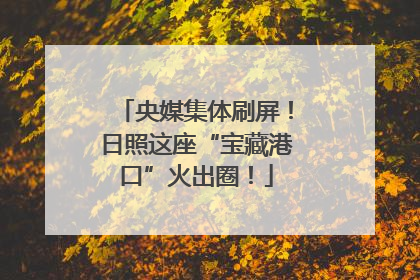 央媒集体刷屏！日照这座“宝藏港口”火出圈！