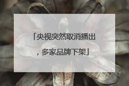 央视突然取消播出，多家品牌下架