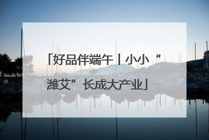 好品伴端午丨小小“潍艾”长成大产业