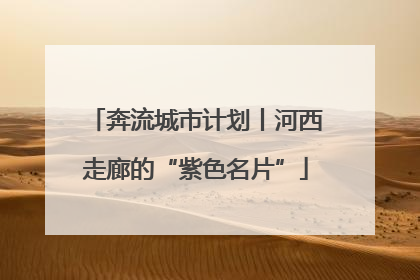 奔流城市计划丨河西走廊的“紫色名片”