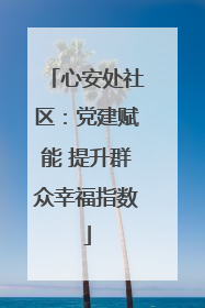 心安处社区：党建赋能 提升群众幸福指数