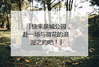 快来泉城公园，赴一场与荷花的浪漫之约吧！