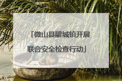 微山县驩城镇开展联合安全检查行动