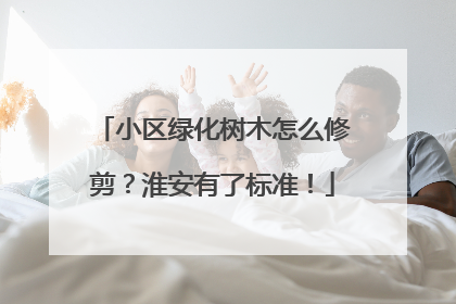 小区绿化树木怎么修剪？淮安有了标准！