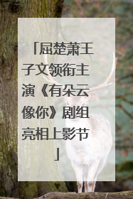屈楚萧王子文领衔主演《有朵云像你》剧组亮相上影节