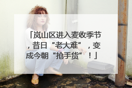 岚山区进入麦收季节，昔日“老大难”，变成今朝“抢手货”！