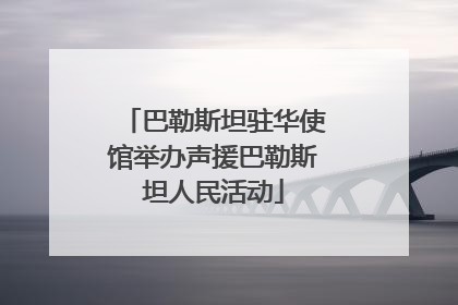 巴勒斯坦驻华使馆举办声援巴勒斯坦人民活动