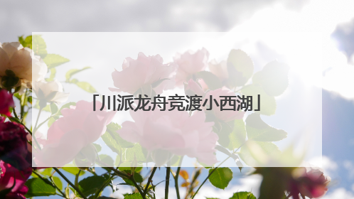 川派龙舟竞渡小西湖