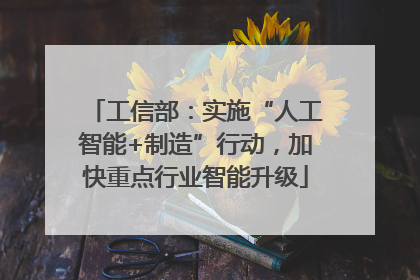 工信部：实施“人工智能+制造”行动，加快重点行业智能升级