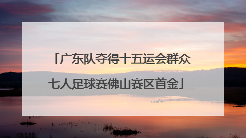 广东队夺得十五运会群众七人足球赛佛山赛区首金