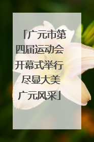 广元市第四届运动会开幕式举行 尽显大美广元风采