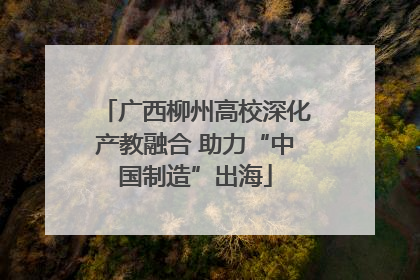 广西柳州高校深化产教融合 助力“中国制造”出海