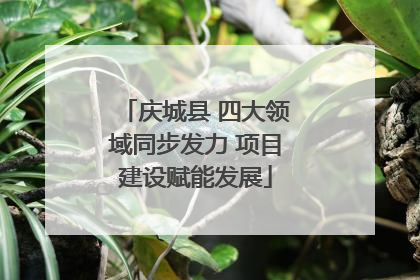 庆城县 四大领域同步发力 项目建设赋能发展