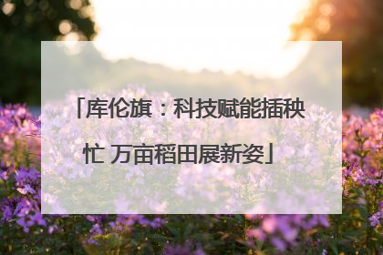 库伦旗：科技赋能插秧忙 万亩稻田展新姿