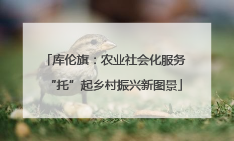 库伦旗：农业社会化服务“托”起乡村振兴新图景