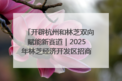 开辟杭州和林芝双向赋能新赛道｜2025年林芝经济开发区招商引资（杭州）推介展销活动在杭举办