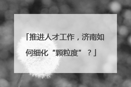 推进人才工作，济南如何细化“颗粒度”？