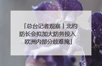 总台记者观察丨北约防长会拟加大防务投入 欧洲内部分歧难掩