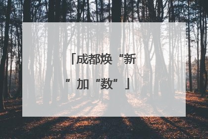 成都焕“新”加“数”