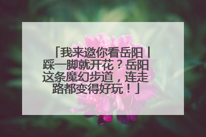 我来邀你看岳阳丨踩一脚就开花？岳阳这条魔幻步道，连走路都变得好玩！