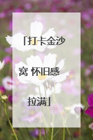 打卡金沙窝 怀旧感拉满
