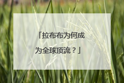 拉布布为何成为全球顶流？