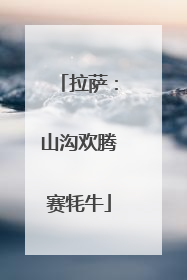 拉萨：山沟欢腾赛牦牛