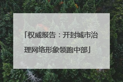 权威报告：开封城市治理网络形象领跑中部
