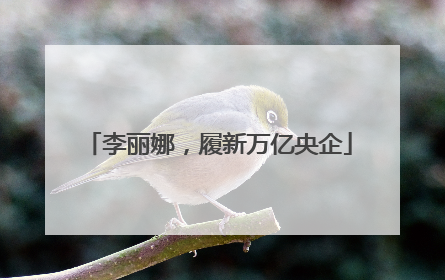 李丽娜，履新万亿央企