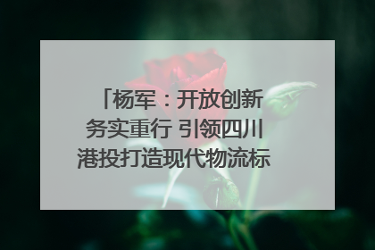 杨军：开放创新 务实重行 引领四川港投打造现代物流标杆｜致敬2024四川经济影响力人物