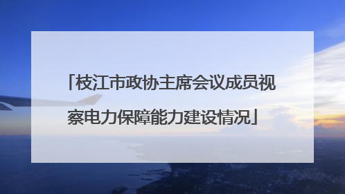 枝江市政协主席会议成员视察电力保障能力建设情况
