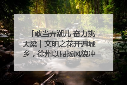 敢当弄潮儿 奋力挑大梁｜文明之花开遍城乡，徐州以昂扬风貌冲刺“万亿之城”