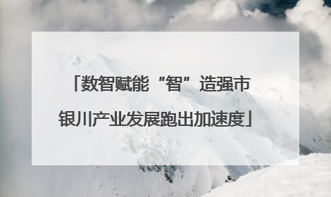 数智赋能“智”造强市 银川产业发展跑出加速度