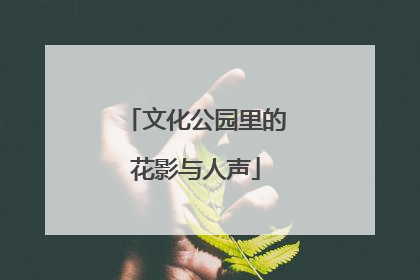 文化公园里的花影与人声