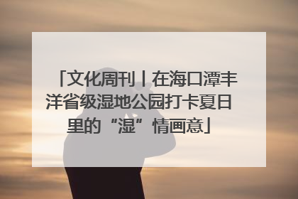 文化周刊丨在海口潭丰洋省级湿地公园打卡夏日里的“湿”情画意