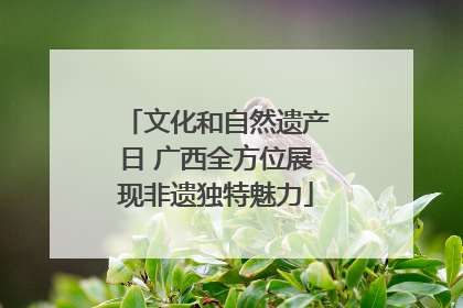 文化和自然遗产日 广西全方位展现非遗独特魅力