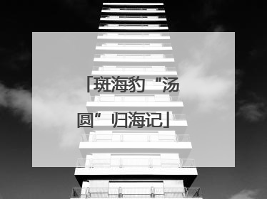 斑海豹“汤圆”归海记