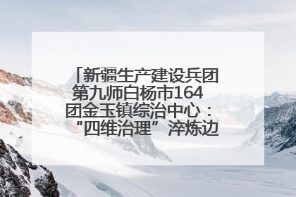 新疆生产建设兵团第九师白杨市164团金玉镇综治中心：“四维治理”淬炼边疆“枫桥样本”