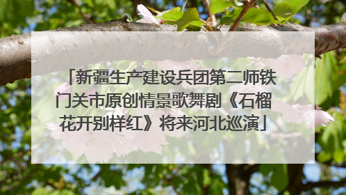 新疆生产建设兵团第二师铁门关市原创情景歌舞剧《石榴花开别样红》将来河北巡演