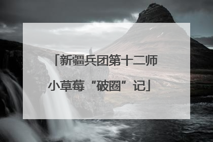新疆兵团第十二师小草莓“破圈”记