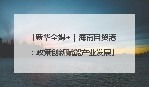 新华全媒+｜海南自贸港：政策创新赋能产业发展